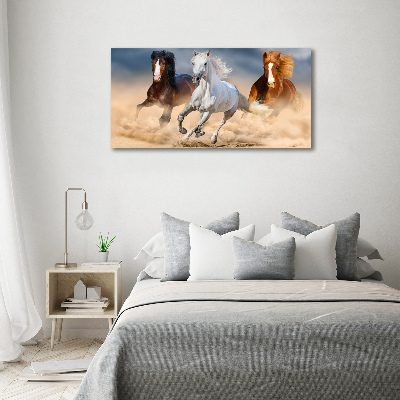 Wall art acrylic Horses in the desert