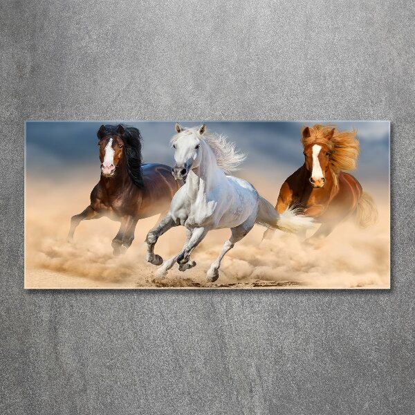 Wall art acrylic Horses in the desert