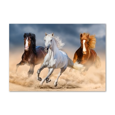 Wall art acrylic Horses in the desert