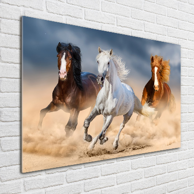 Wall art acrylic Horses in the desert