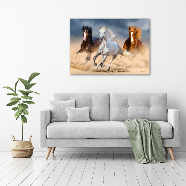 Wall art acrylic Horses in the desert