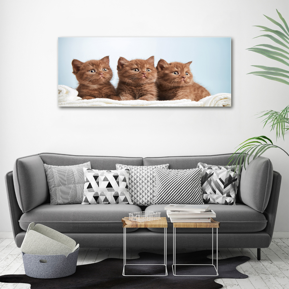 Wall art acrylic Chatter cats