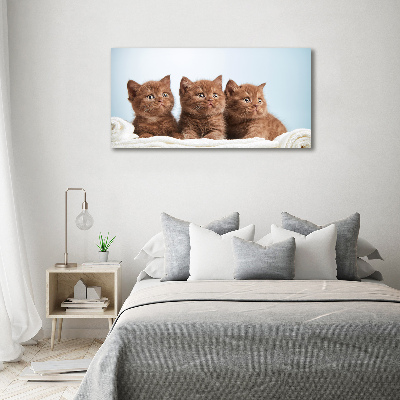 Wall art acrylic Chatter cats