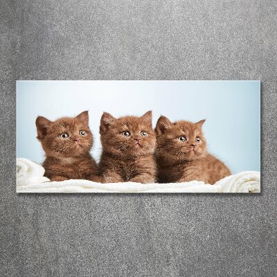 Wall art acrylic Chatter cats