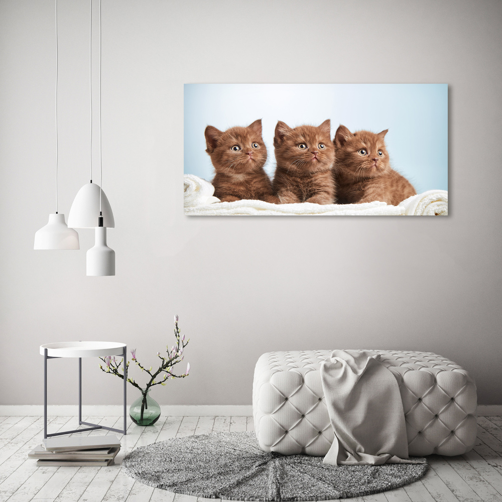 Wall art acrylic Chatter cats