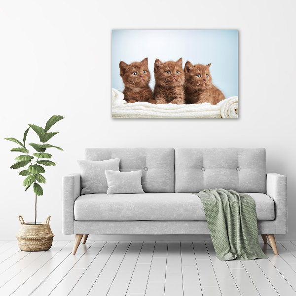 Wall art acrylic Chatter cats