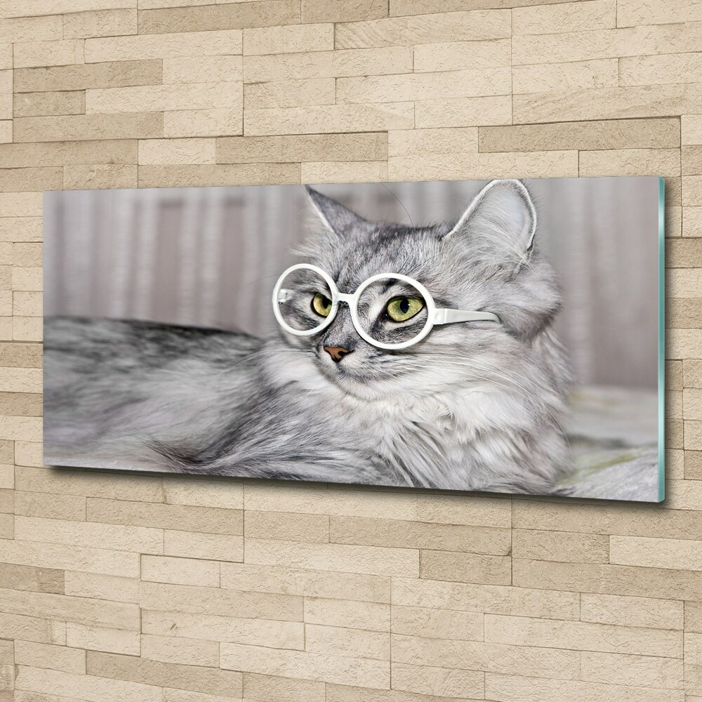 Acrylic print Cat with glasses