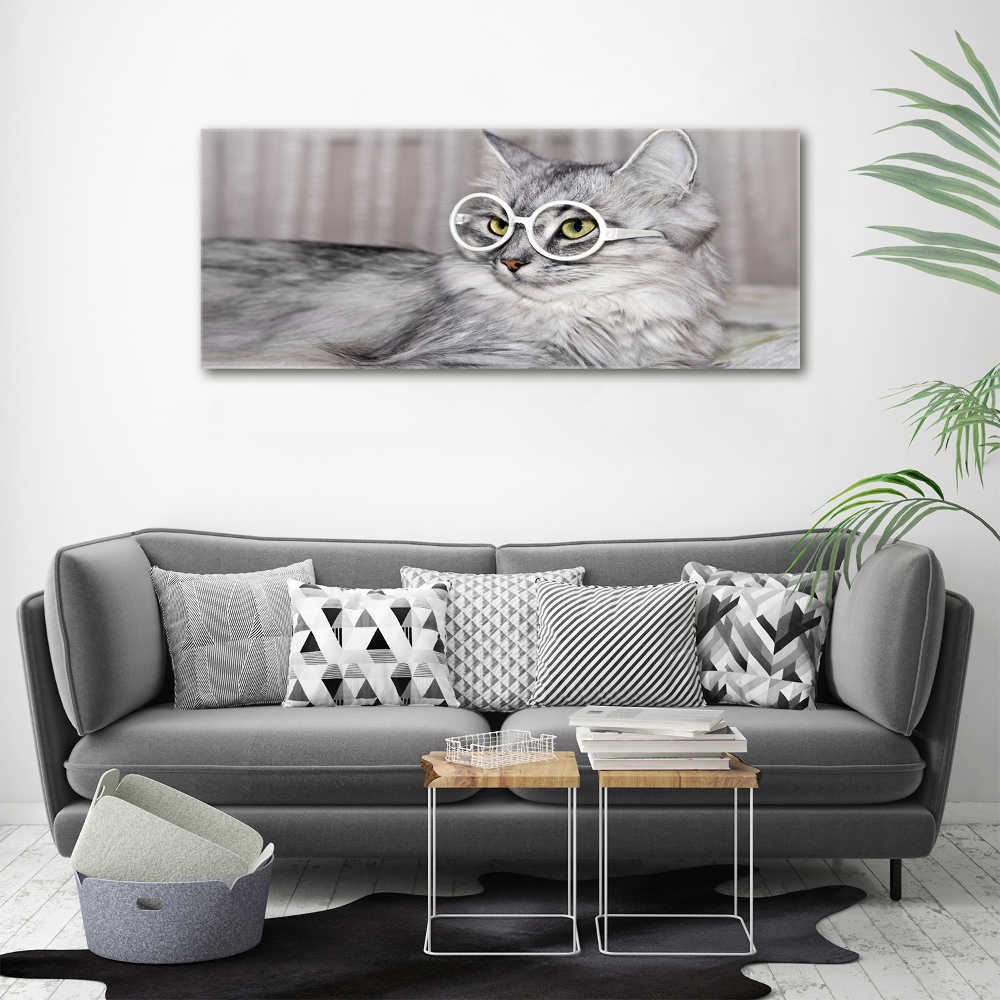 Acrylic print Cat with glasses