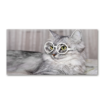 Acrylic print Cat with glasses