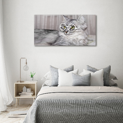 Acrylic print Cat with glasses