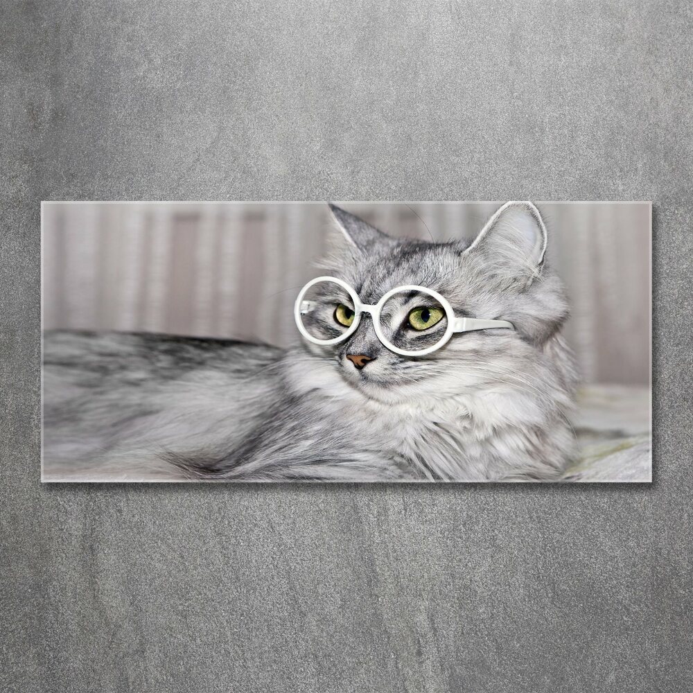 Acrylic print Cat with glasses