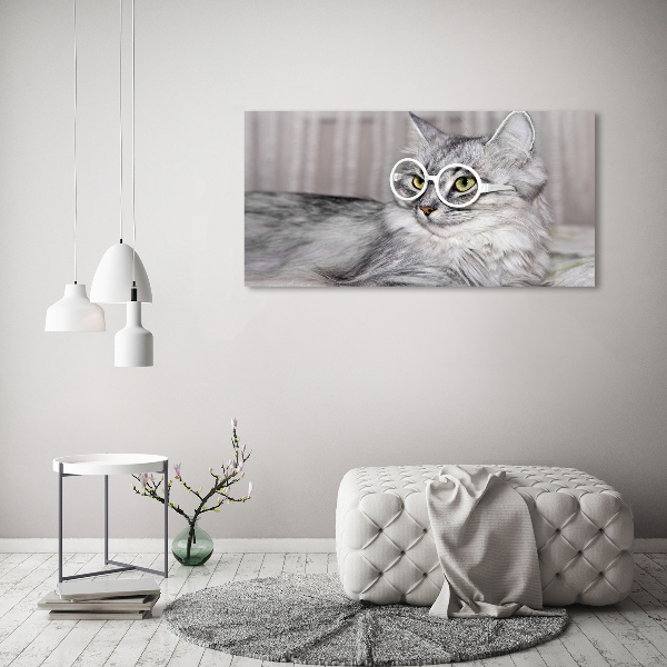 Acrylic print Cat with glasses