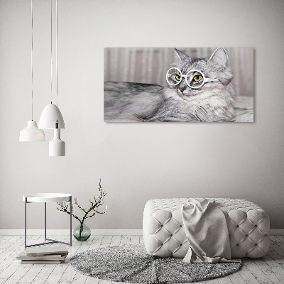 Acrylic print Cat with glasses