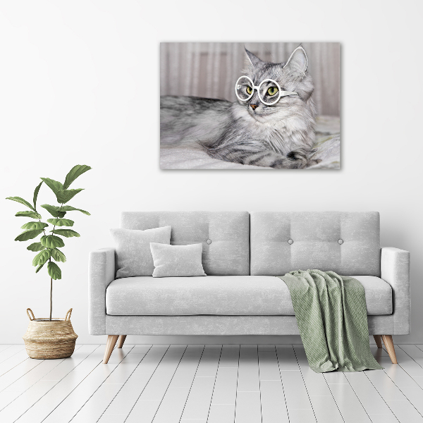 Acrylic print Cat with glasses