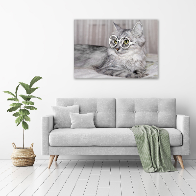 Acrylic print Cat with glasses