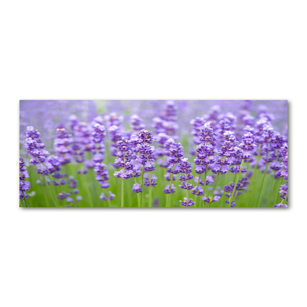 Wall art acrylic Lavender