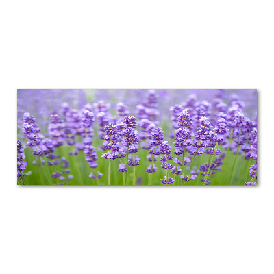 Wall art acrylic Lavender