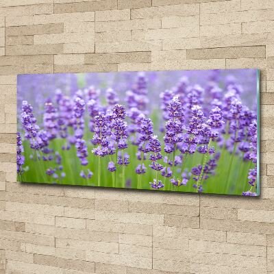 Wall art acrylic Lavender