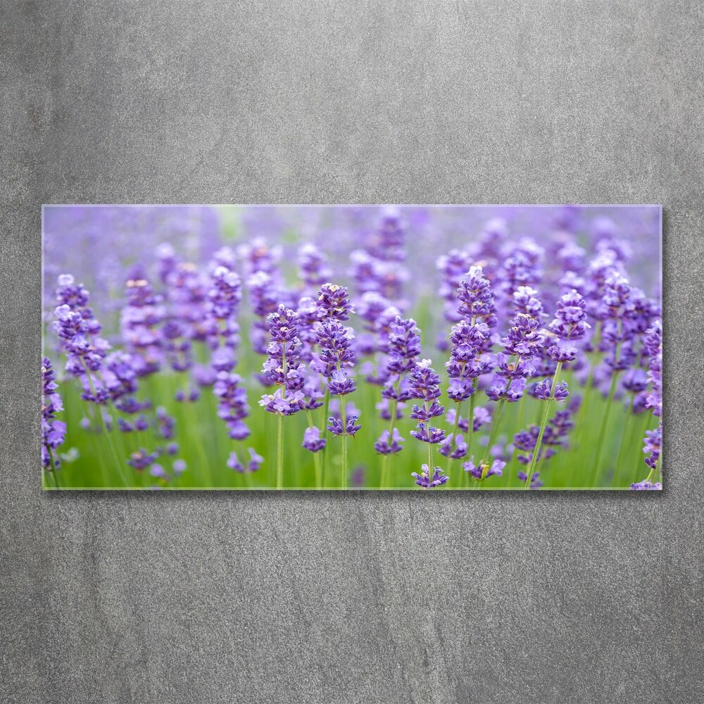 Wall art acrylic Lavender