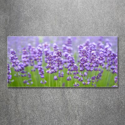 Wall art acrylic Lavender