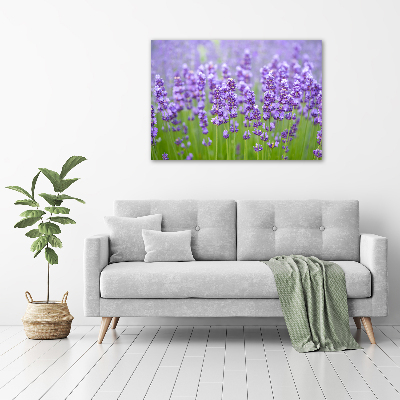 Wall art acrylic Lavender