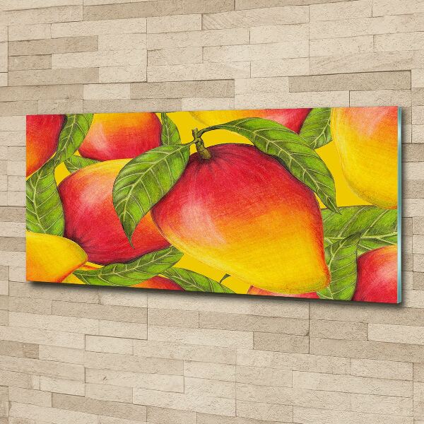 Acrylic wall art Mango