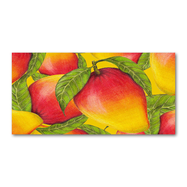 Acrylic wall art Mango