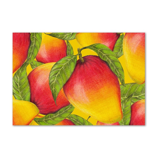 Acrylic wall art Mango