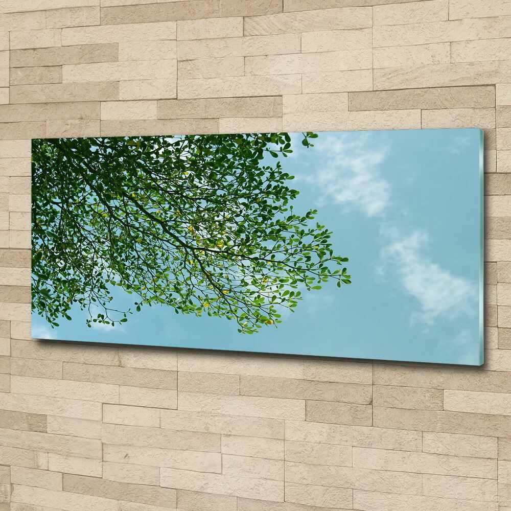 Print on acrylic Leaves in the sky