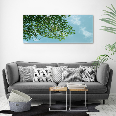 Print on acrylic Leaves in the sky