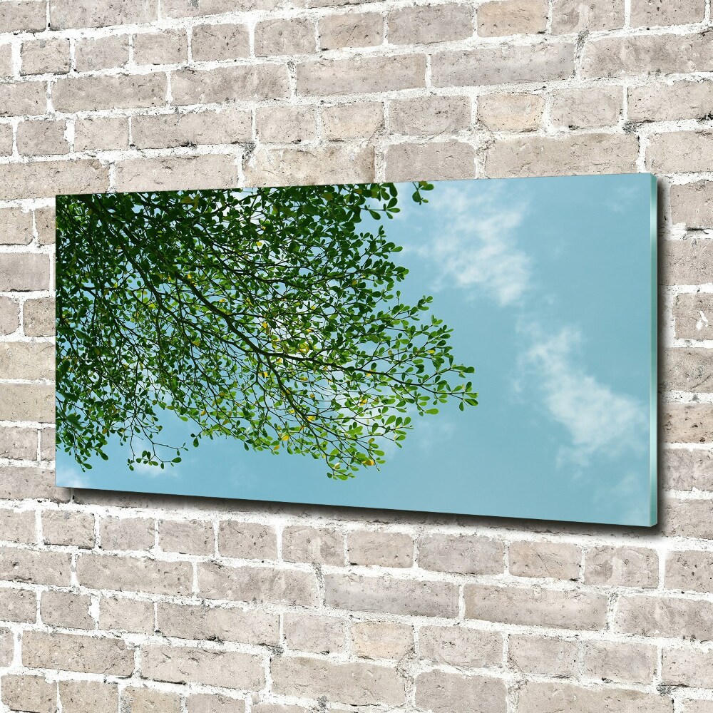 Print on acrylic Leaves in the sky