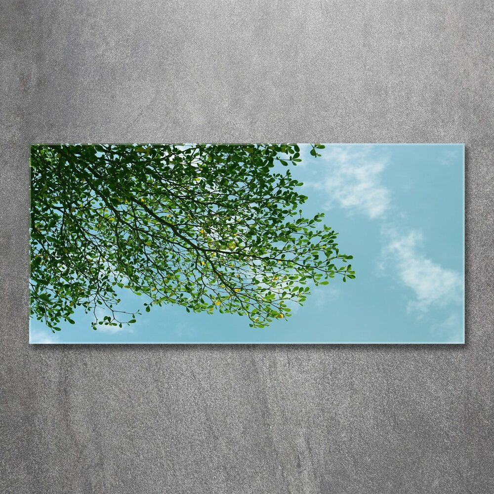 Print on acrylic Leaves in the sky