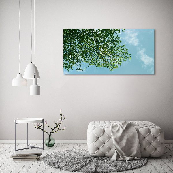 Print on acrylic Leaves in the sky