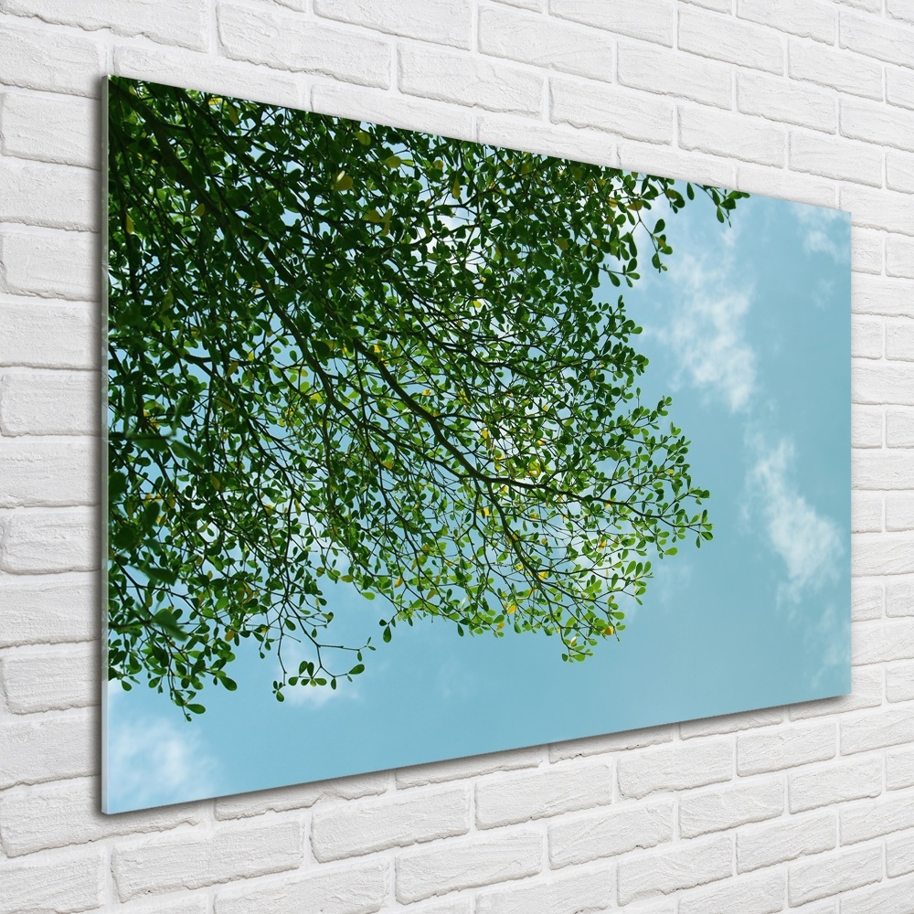 Print on acrylic Leaves in the sky