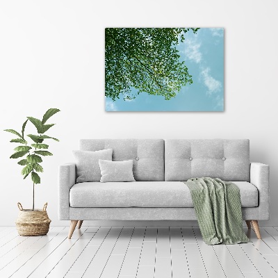 Print on acrylic Leaves in the sky