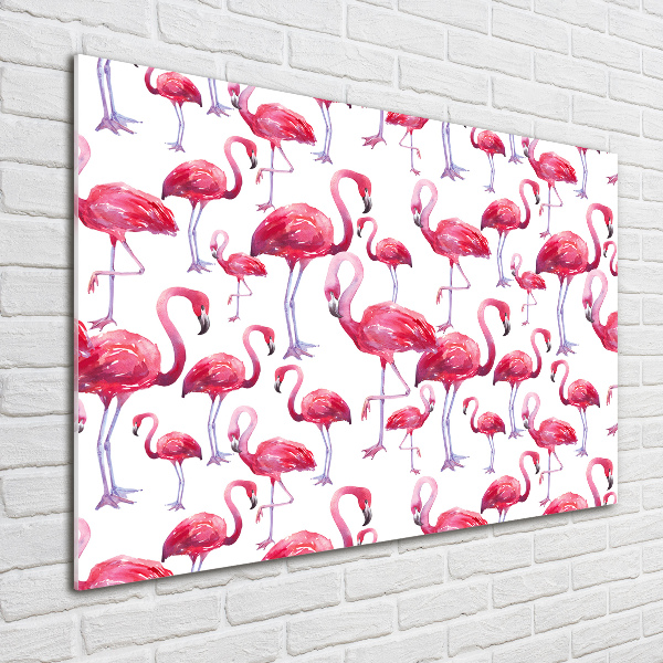 Acrylic print Flamingos