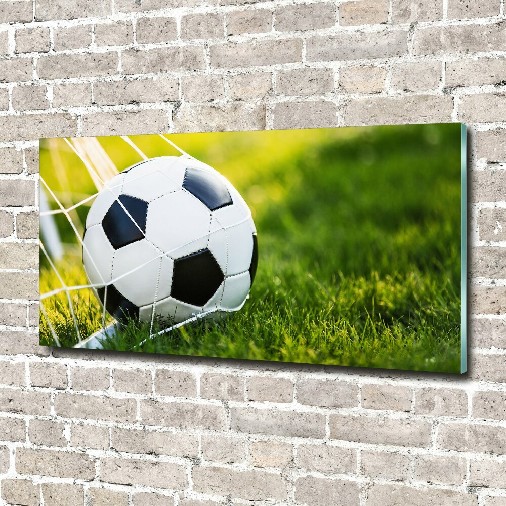 Print on acrylic Ball in the goal