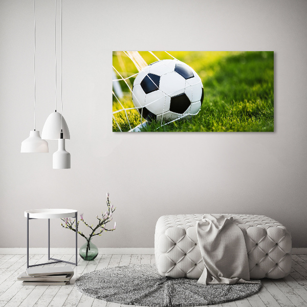 Print on acrylic Ball in the goal