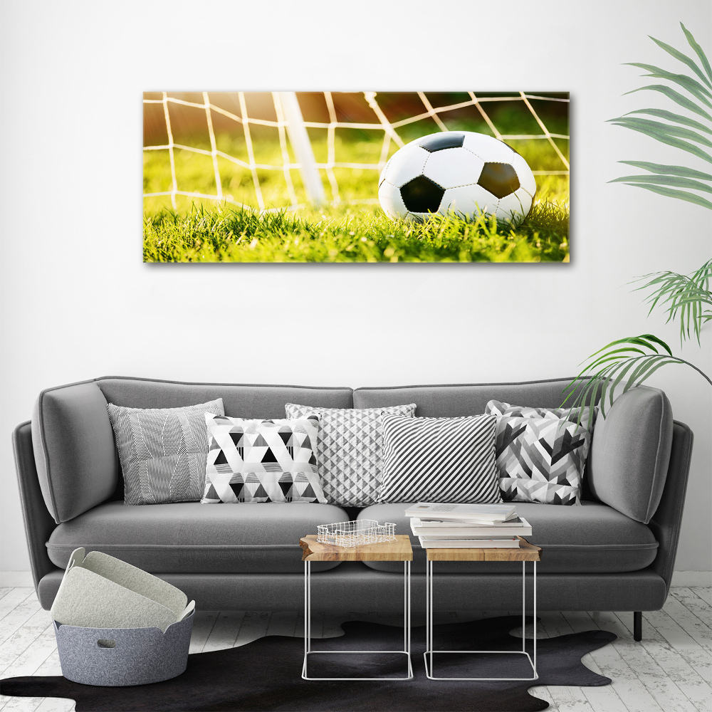 Print on acrylic Ball in the goal