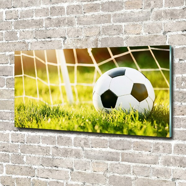 Print on acrylic Ball in the goal