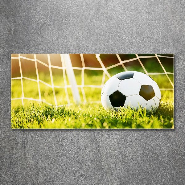 Print on acrylic Ball in the goal