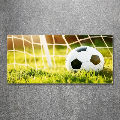 Print on acrylic Ball in the goal