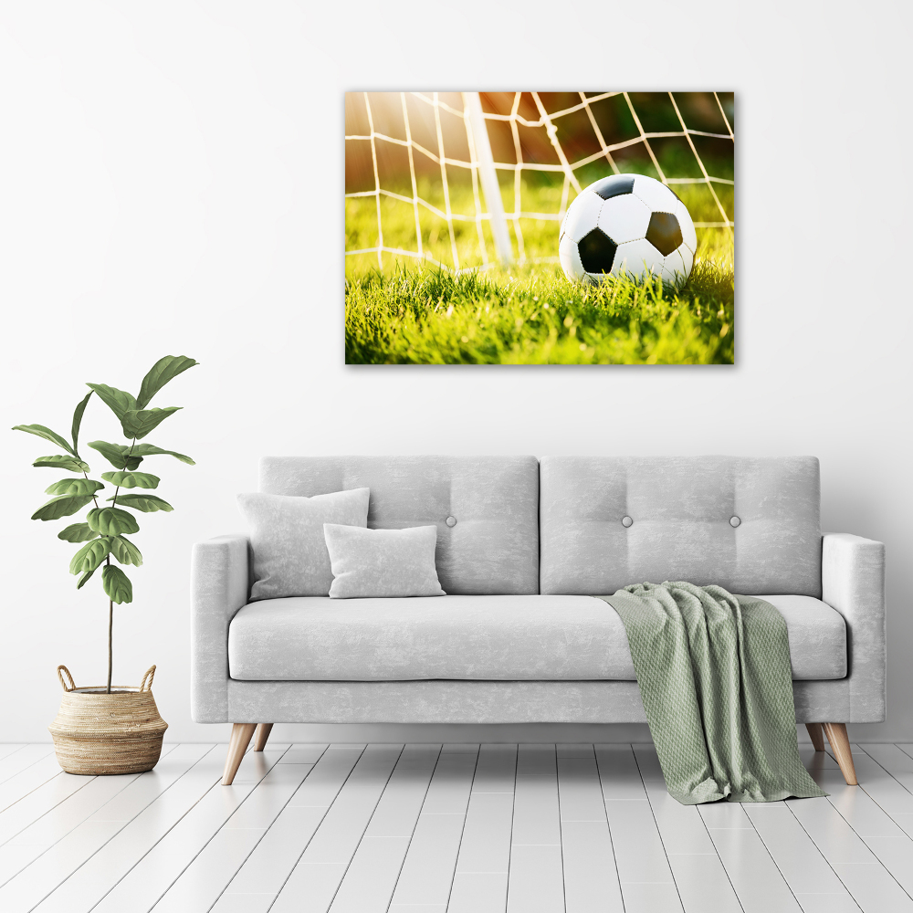 Print on acrylic Ball in the goal