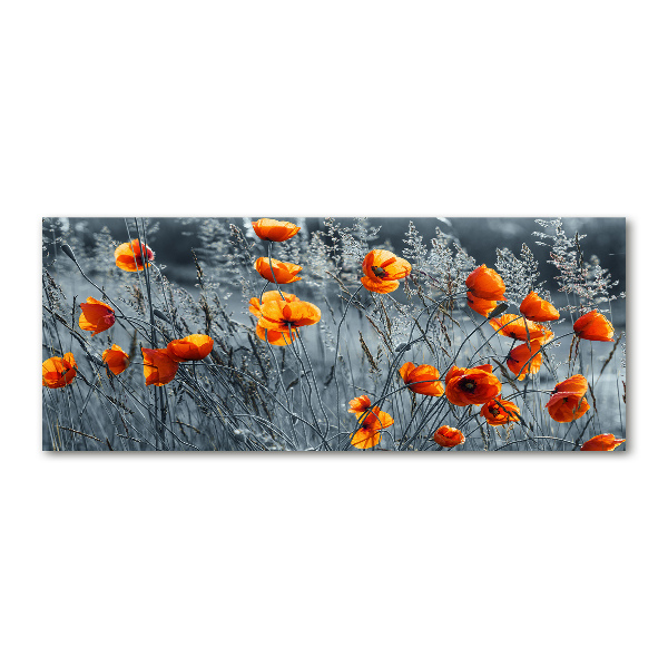 Print on acrylic Field poppy seed