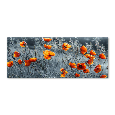 Print on acrylic Field poppy seed