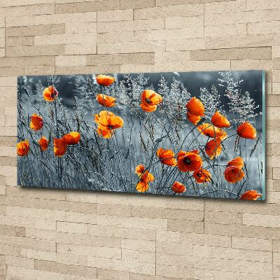 Print on acrylic Field poppy seed