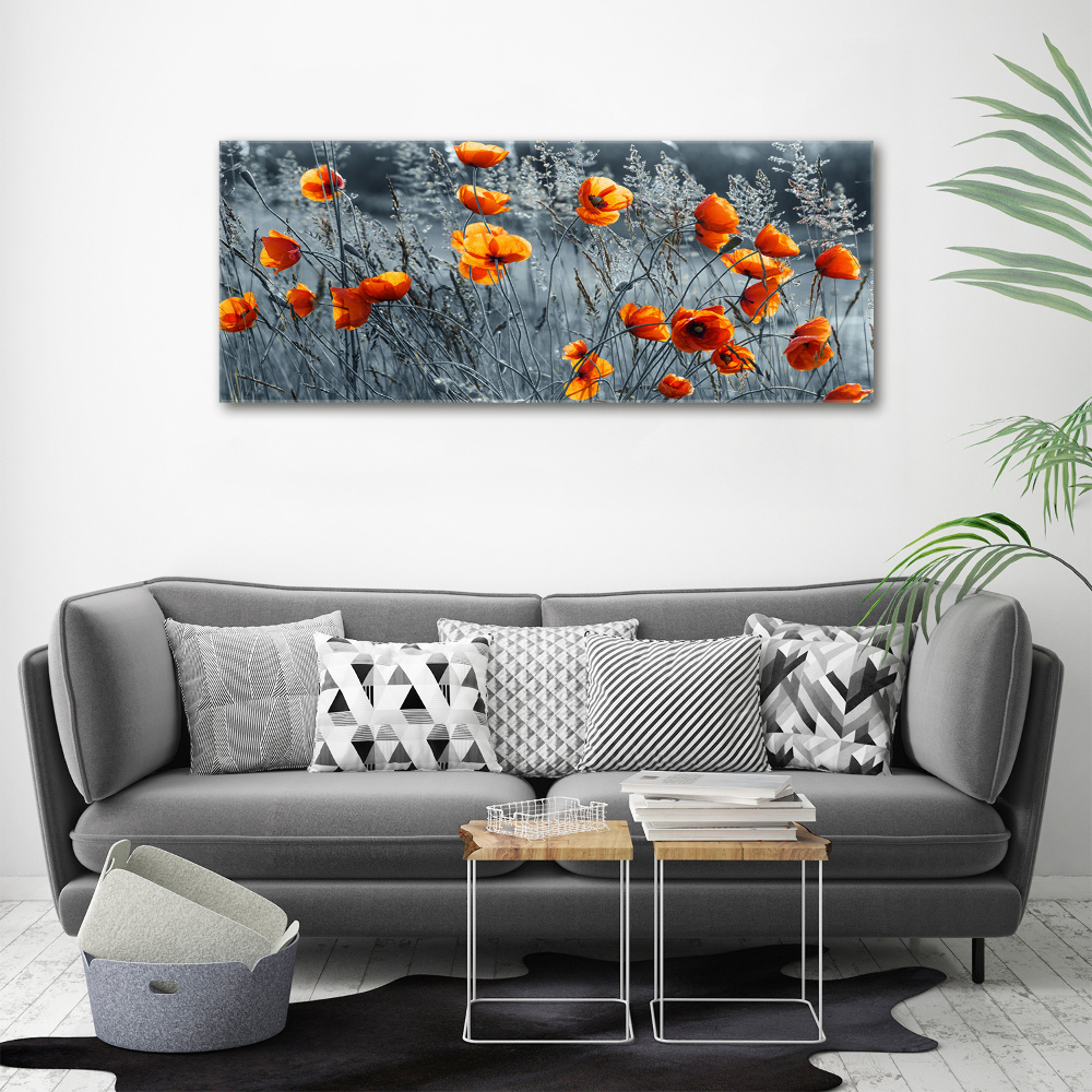 Print on acrylic Field poppy seed