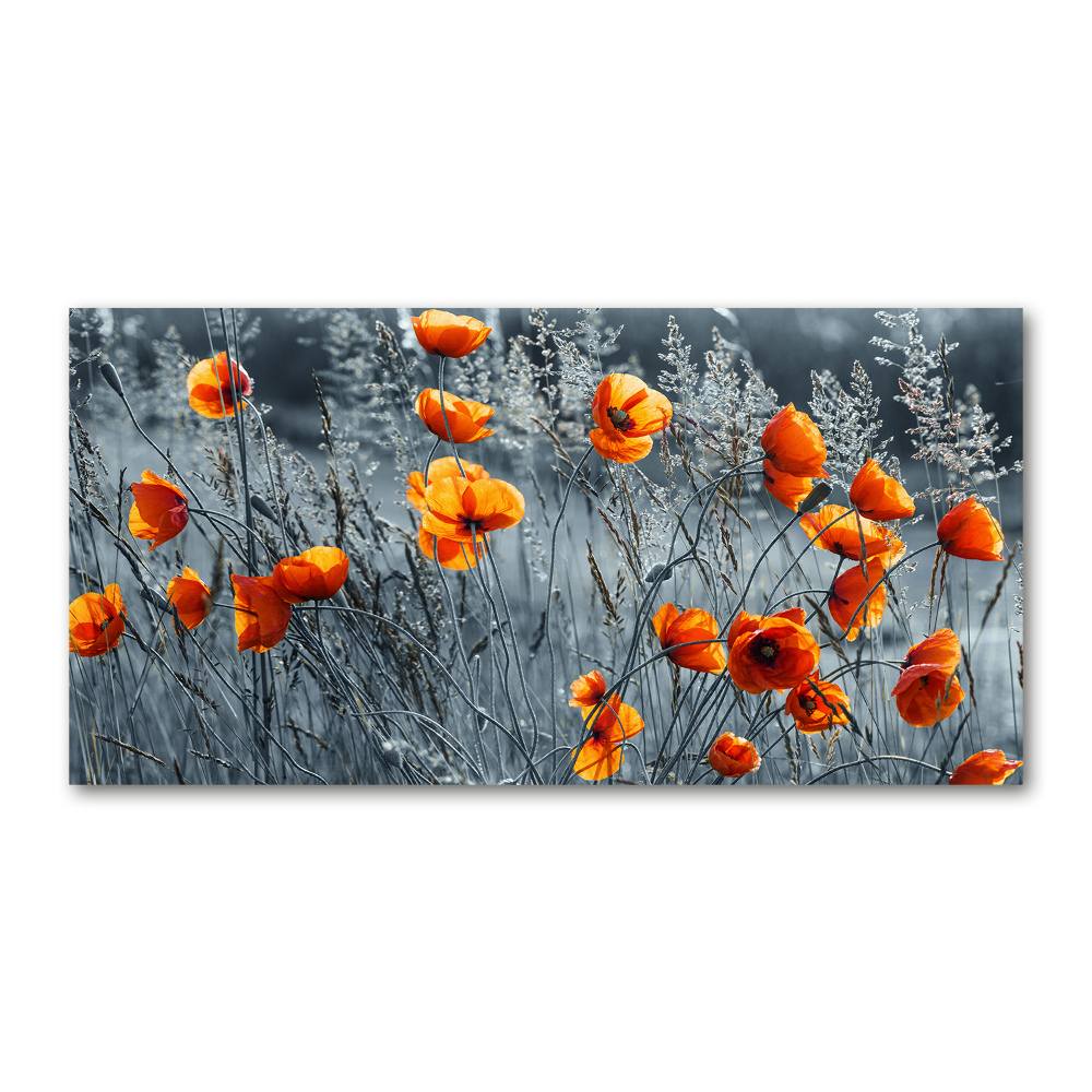 Print on acrylic Field poppy seed