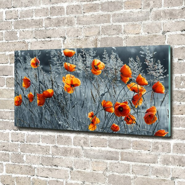 Print on acrylic Field poppy seed