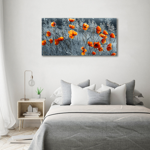 Print on acrylic Field poppy seed